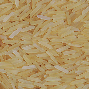 1509 Basmati Rice